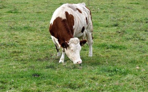 农业物联网设备选购全攻略，新手也能轻松搞定