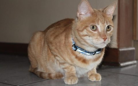 沉浸式海洋馆设计全网最全深度解析：如何打造真实、生动、智能的海洋体验空间