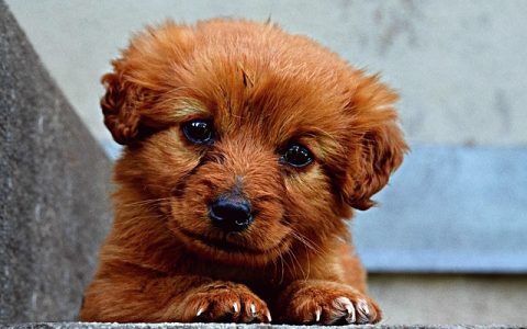 生物安全实验室建设全流程深度解析：从设计到科技赋能的硬核指南