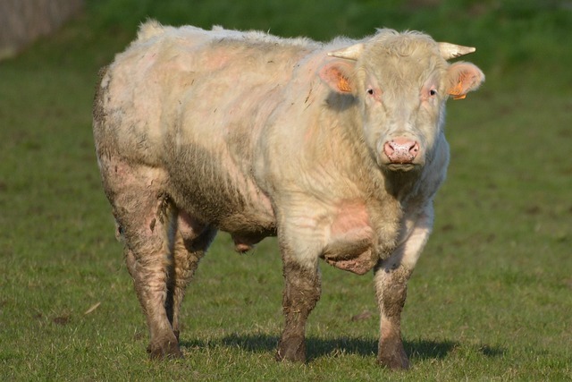 AI在农业中的应用全网最全深度解析:未来农田的智能升级之路 4 AI在农业中的应用全网最全深度解析:未来农田的智能升级之路 3