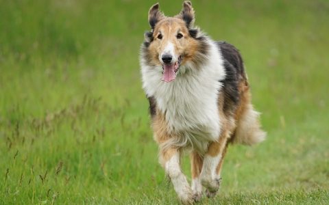 生物信息学云平台深度解析：重塑科研效率的智能引擎