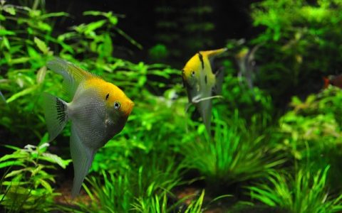 水质监测笔准不准？深度解析+实操全指南